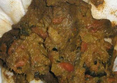 مدفوع غذای ماورایی مورد علاقه رمالان