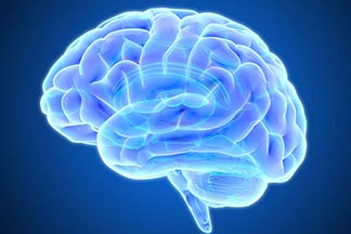 چه چیزی موجب بروز فعالیت های متافیزیکی مغز میشود؟