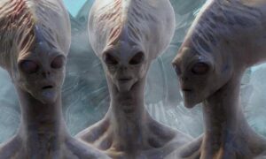 رپتایل چیست؟ آیا زمین تحت سلطه رپتایل ها قرار دارد؟